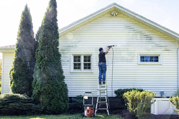 Boat and Dock Cleaning in Algoma, WI