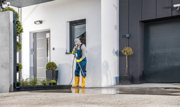 Best Paint Preparation  in Algoma, WI
